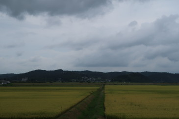 金鶏山
