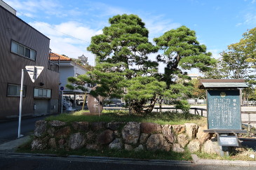 三方が原　家康が兜をかけた松