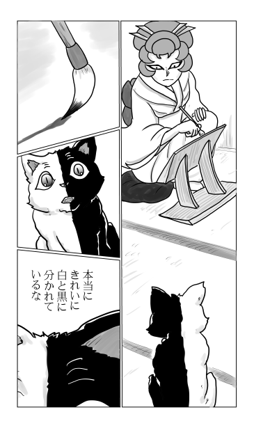 白と黒